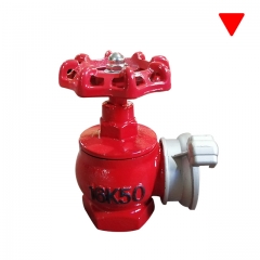 High Quality Ductile Iron Fire Hydrant Valve for Vietnam Russia