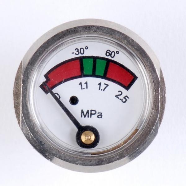 Diaphragm Pressure Gauge