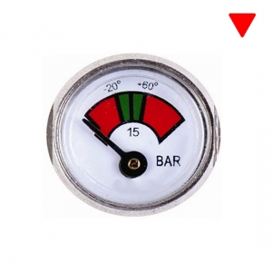 Diaphragm Pressure Gauge