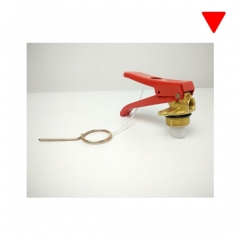 Brazilian Type Fire Extinguisher Valve