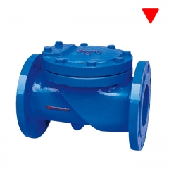 Swing Check Valve