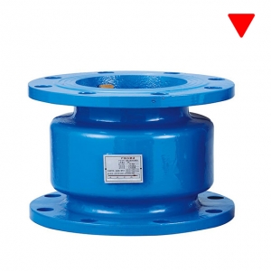 Silent Check Valve