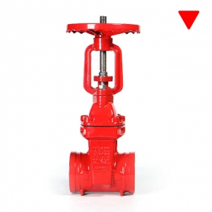 Rising Stem Gate Valve